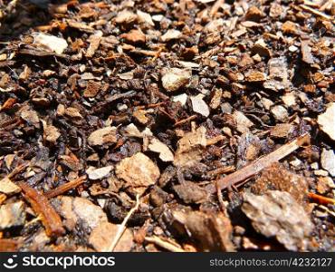 closeup of some brown mulch