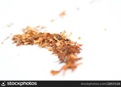 closeup of spilled tobacco isolated on white background