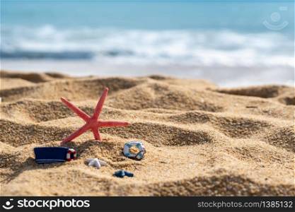 Closeup of starfish on tropical beach, Summer vacation concept