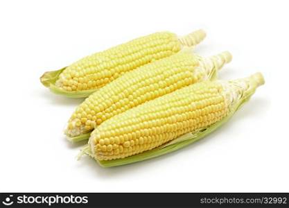 closeup of sweet corns isolated on white background