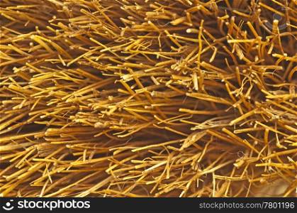 closeup of the bristles of an besom. besom