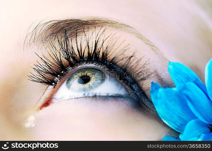 closeup of the eye of woman with creative eyelashes and blue petals