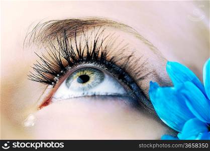 closeup of the eye of woman with creative eyelashes and blue petals