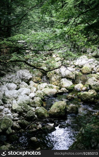 Closeup of the Savica waterfall at Bohinj Valley, Slovenia