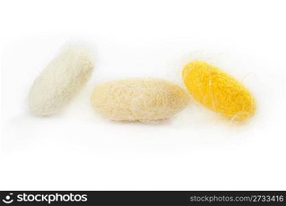 closeup of three silkworm cocoon isolated on white background