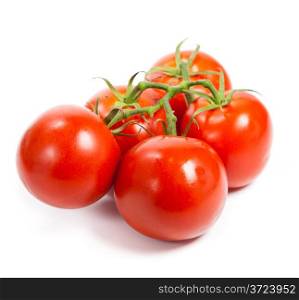 Closeup of tomatoes on the vine isolated on white. Tomato branch