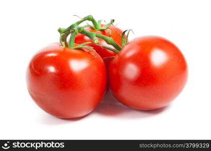 Closeup of tomatoes on the vine isolated on white. Tomato branch