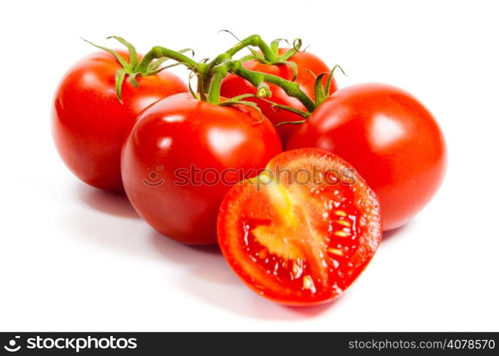 Closeup of tomatoes on the vine isolated on white. Tomato branch