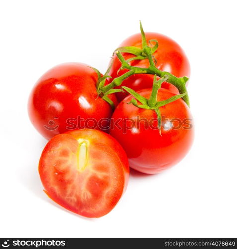 Closeup of tomatoes on the vine isolated on white. Tomato branch