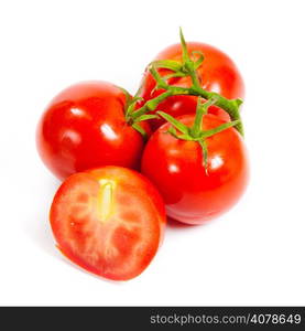 Closeup of tomatoes on the vine isolated on white. Tomato branch