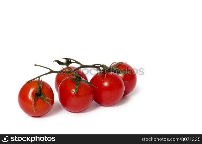 Closeup of tomatoes on white background with light shadow. tomatoes