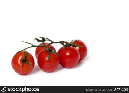 Closeup of tomatoes on white background with light shadow. tomatoes