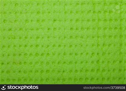 Closeup of vivid green sponge as background texture pattern. Macro.