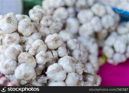 Closeup of white garlic stack for ingredient food