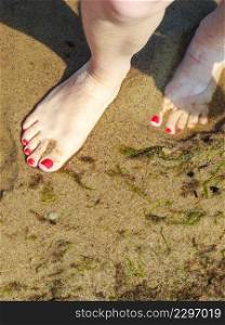 Closeup of woman feet on beach sand.. Closeup of woman feet.