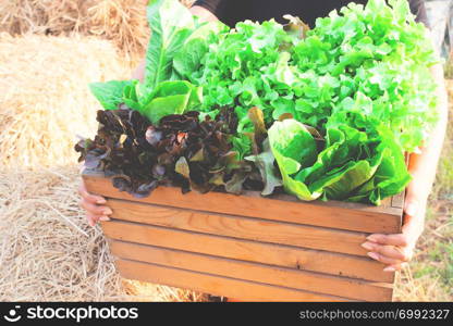 Closeup of woman hands holding a large wooden crate full of raw freshly harvested salad vegetables