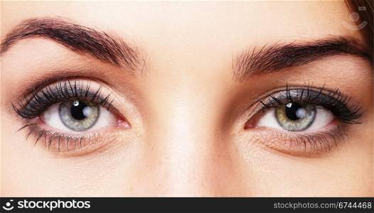 closeup of womans eyes. closeup of beautiful womans eyes