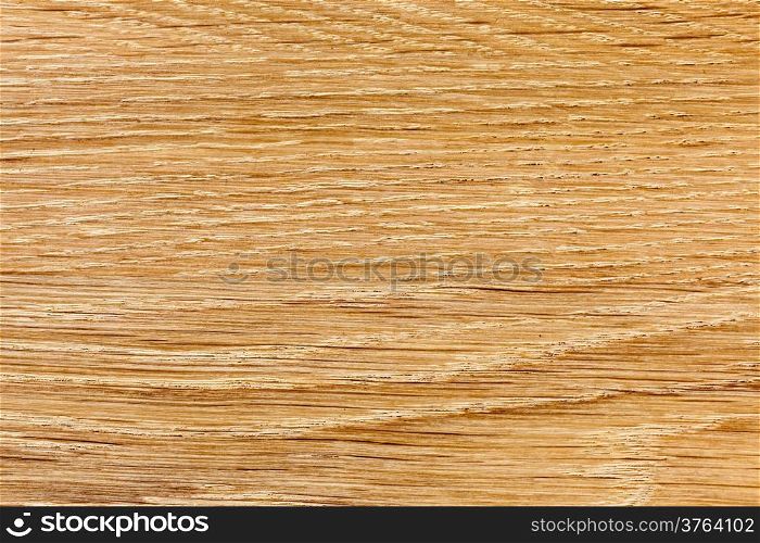 Closeup of wood. Brown wooden plank as background texture backdrop. Macro