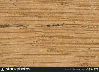 Closeup of wooden surface