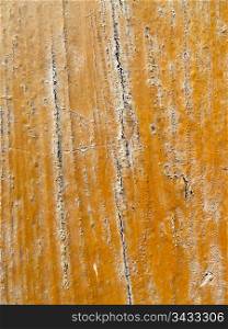 closeup on a section of old weathered wood