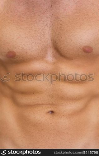 Closeup on abdominal muscles