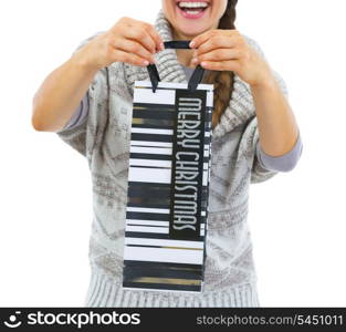 Closeup on christmas shopping bag in hand of young woman in sweater