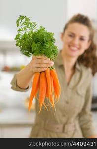 Closeup on fresh carrots in hand of woman