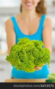 Closeup on green salad in hand of young woman