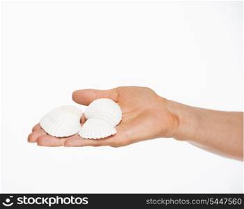 Closeup on hand holding seashells