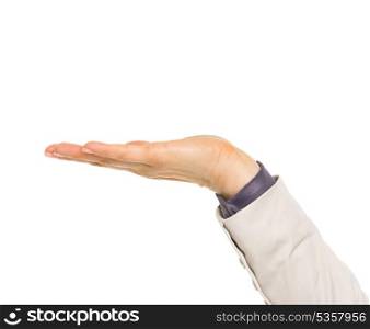 Closeup on hand of business woman presenting something on empty palm