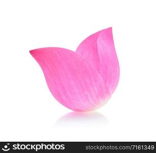 Closeup on lotus petal isolate on white background