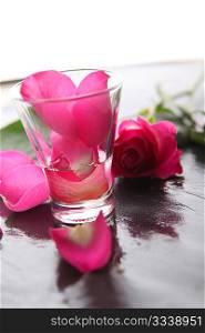 Closeup on pink rose petals