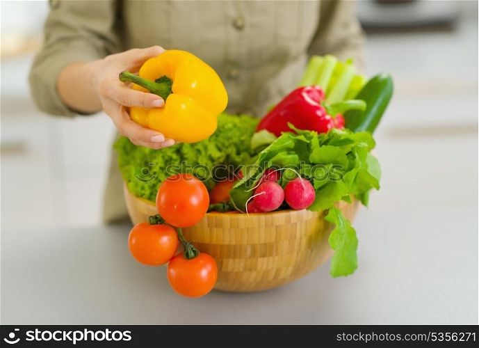 Closeup on plate with vegetables forming by housewife in kitchen