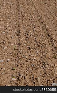 Closeup on ploughed field in early spring waiting for crops to grow