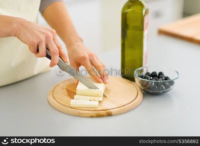 Closeup on woman cutting fresh cheese