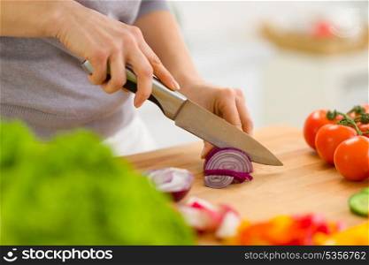 Closeup on woman cutting onion
