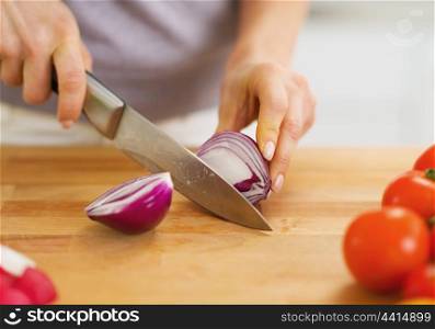 Closeup on woman cutting onion on cutting board