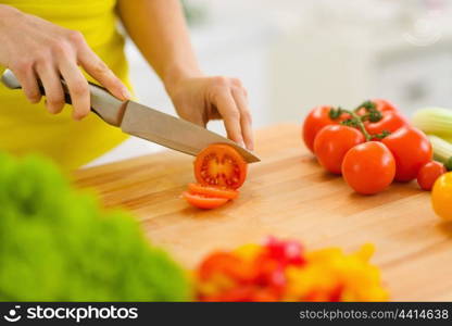 Closeup on woman cutting tomato