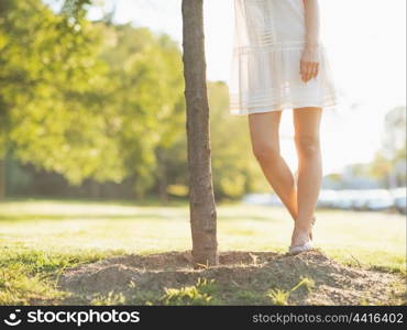 Closeup on young woman legs standing near seedling tree