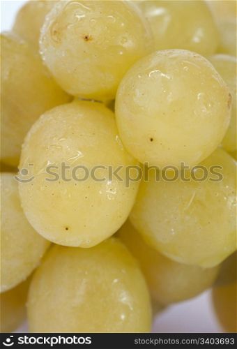 Closeup part of wet white grapes bunch on light background