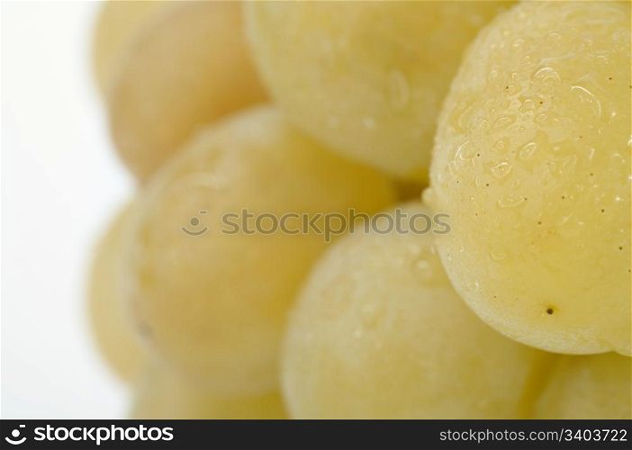 Closeup part of wet white grapes bunch on light background