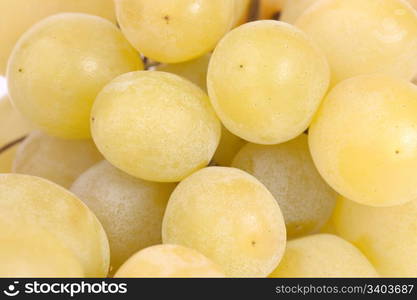 Closeup part of white grapes bunch on light background