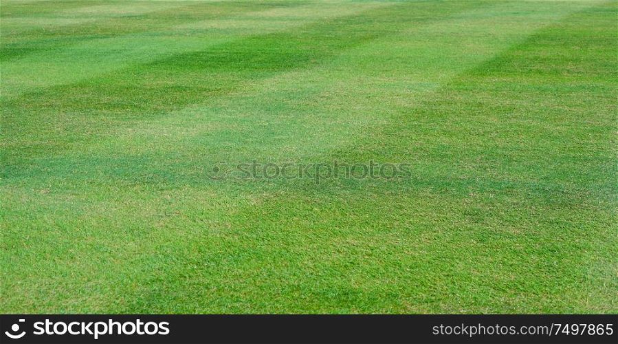 CloseUp perspective beautiful pattern of fresh green grass for football and soccer sport .