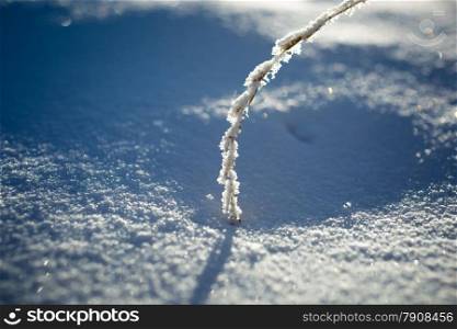 Closeup photo grass at snowdrift covered by hoarfrost