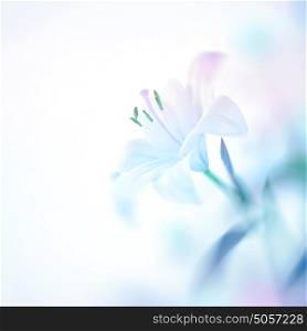 Closeup photo of a beautiful gentle white lily flower, nice floral background with copy space, elegant invitation for a wedding day