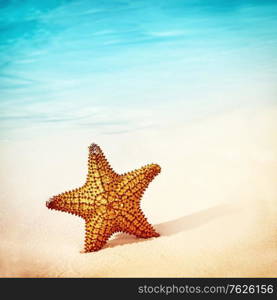 Closeup photo of a beautiful sea star in the clean sand on the beach, conceptual background of a summer vacation, copy space