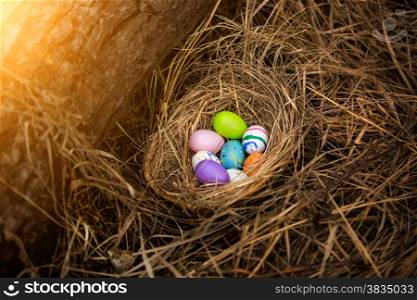 Closeup photo of colorful easter eggs lying in nest at forest