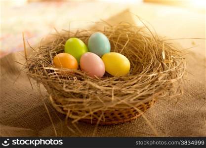 Closeup photo of colorful Easter eggs lying in nest at sunny day