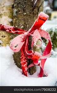 Closeup photo of decorative red ribbon covered by hoarfrost