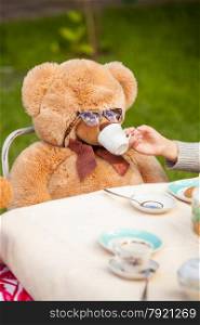 Closeup photo of girl giving tea to teddy bear in sunglasses